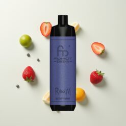 Nederlandse Groothandel RandM Fumot Shisha 10000 Puffs Bes Mint Mesh Coil Type-C Port