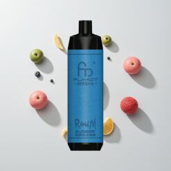 Nederlandse Groothandel RandM Fumot Shisha 10000 Puffs Blauwe Bes Bubblegum LED Type-C 0.6ohm