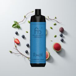 Nederlandse Groothandel RandM Fumot Shisha 10000 Puffs Blauwe Bes Druif LED Type-C 0.6ohm Mesh