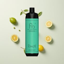 Nederlandse Groothandel RandM Fumot Shisha 10000 Puffs Citroen Munt LED Mesh Type-C