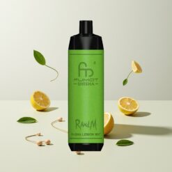 Nederlandse Groothandel RandM Fumot Shisha 10000 Puffs Citroen Munt LED Type-C 0.6ohm Mesh