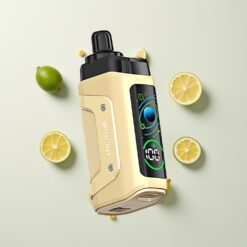 Nederlandse Groothandel Razz Bar 45000 Puffs Citroen Limoen Mesh Coil Type-C