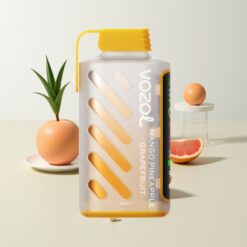 Nederlandse Groothandel VOZOL Gear Power 20000 Puffs Mango Ananas Grapefruit Dual Mesh Coil 20mL