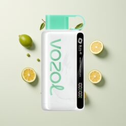 Nederlandse Groothandel VOZOL STAR 9000/12000 Wegwerp Vape Citroen Munt 650mAh S.i.L.C TECH 30% Snellader