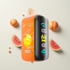 Nederlandse Groothandel ELF BAR RAYA D3 25000 Puffs Mango Perzik Watermeloen D3 850mAh Type-C 23ml
