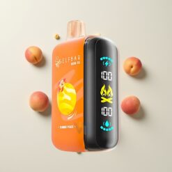 Nederlandse Groothandel ELF BAR RAYA D3 25000 Puffs Wegwerp Vape Mango Perzik 850mAh 23ml 5% Type-C