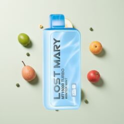 Nederlandse Groothandel Lost Mary MT15000 15000 puffs Winter Munt 11W/22W Dual Mesh Coil